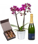 Orchidée, chocolats et champagne