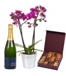 Orchidée, chocolats et champagne