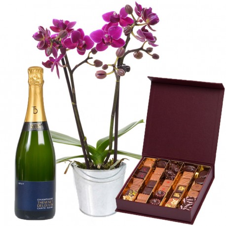 Orchidée, chocolats et champagne