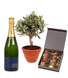 Chocolats, Olivier et Champagne