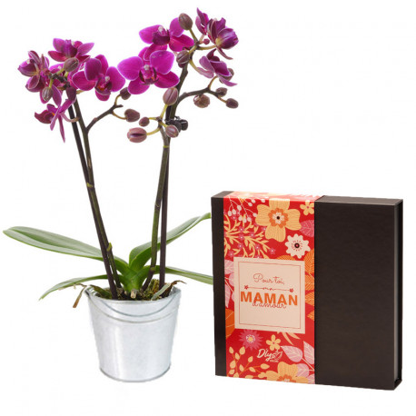 orchidée et chocolats