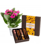 Fleurs et Chocolat Anniversaire personnalisé