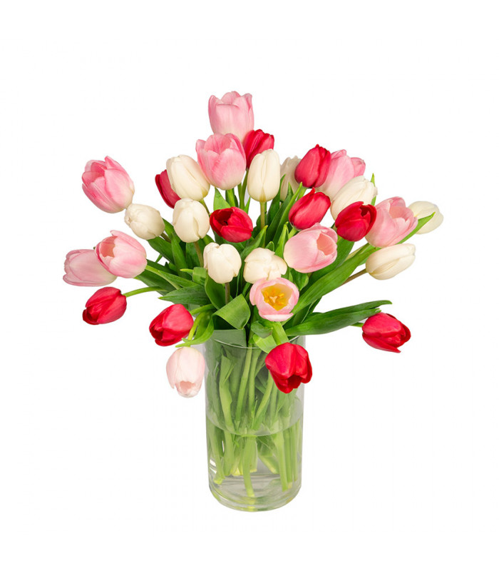 livraison bouquet de tulipes